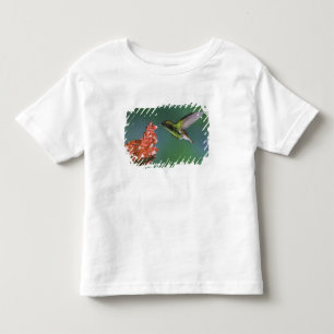 Kupferköpfiger Smaragd, Elvira cupreiceps, Kleinkind T-shirt