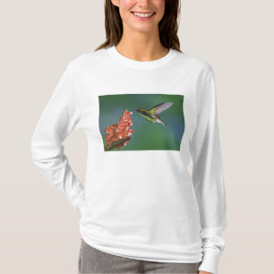 Kupferköpfiger Smaragd, Elvira cupreiceps, T-Shirt
