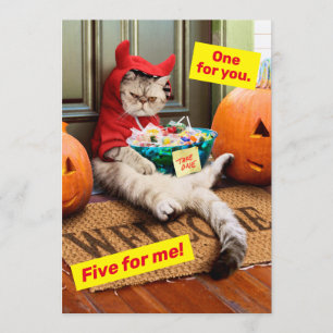 Kurbelbauchkatze Einladung