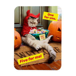Kurbelbauchkatze Magnet