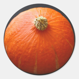 Kürbis-Aufkleber Runder Aufkleber