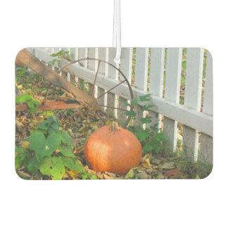 Kürbis Autolufterfrischer