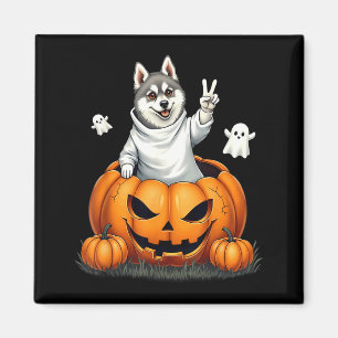 Kürbis Boo Geist Alaskan Klee Kai Hund Halloween Magnet