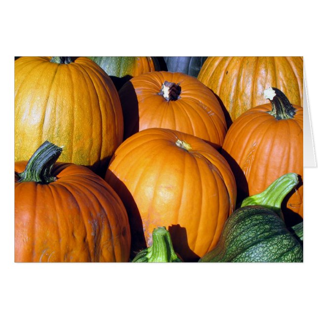 Kürbis-Ernte (Vorderseite (Horizontal))
