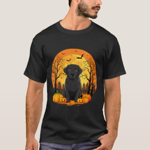 Kürbis-Frauenkostüm mit lustigem Halloween-Outfit T-Shirt