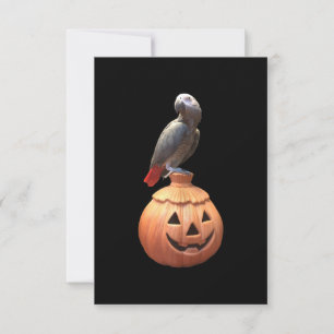 Kürbis-Halloween-Graupapagei Karte
