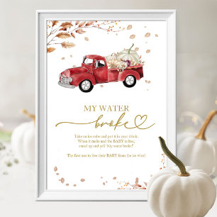 Kürbis Herbst Baby Shower Mein Wasser Ist Geplatzt Poster