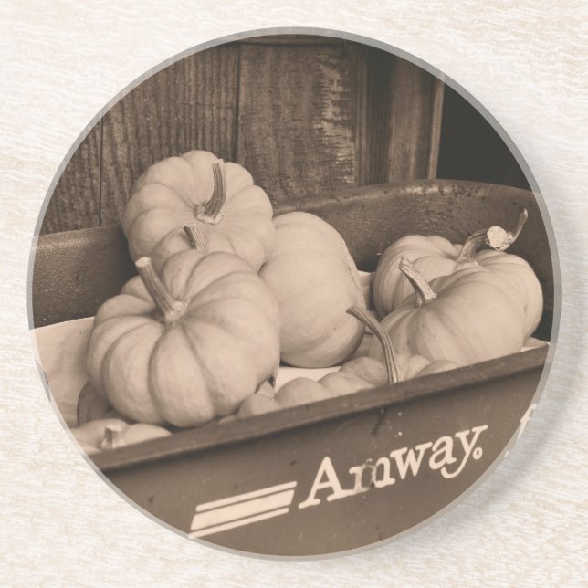 Kürbis in den Untersetzer Wagon Sepia (Vorne)