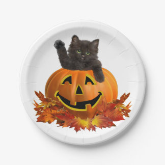 Kürbis Kitty Pappteller
