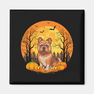 Kürbis mit lustigem Halloween-Kostüm Brüssel Magnet