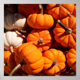Kürbis Poster