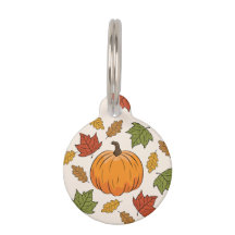 Kürbis und bunte Herbstblätter & Infos zu Haustier