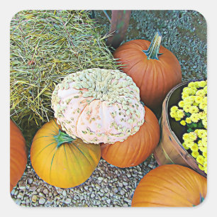Kürbis-und Heu-Ballen-Halloween-Aufkleber Quadratischer Aufkleber