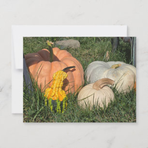 Kürbis und Kürbis Postkarte