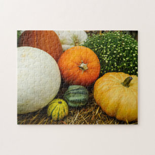 Kürbis und Kürbis Puzzle