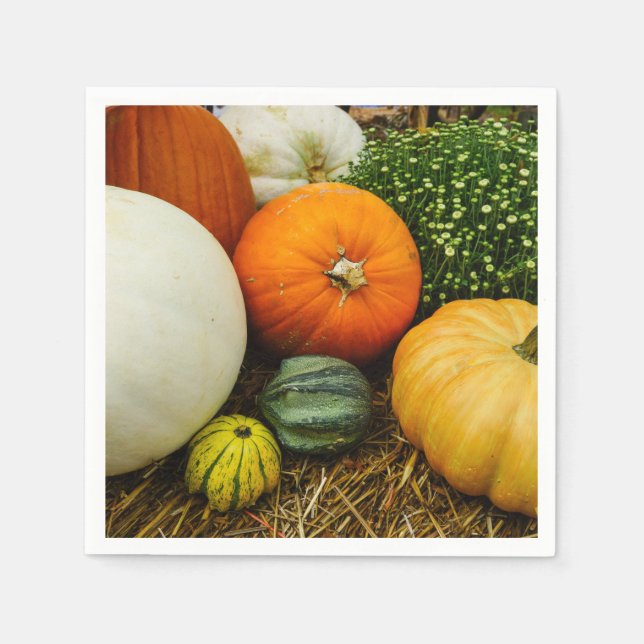 Kürbis und Kürbis Serviette (Vorderseite)