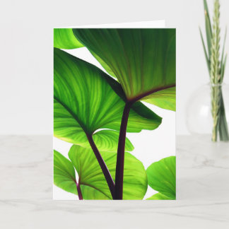 Kürbis verlässt BlumenFoto Feiertagskarte