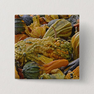 Kürbisart Button