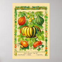 Kürbisarten Retro Viktorianische Ära Botanische Ku