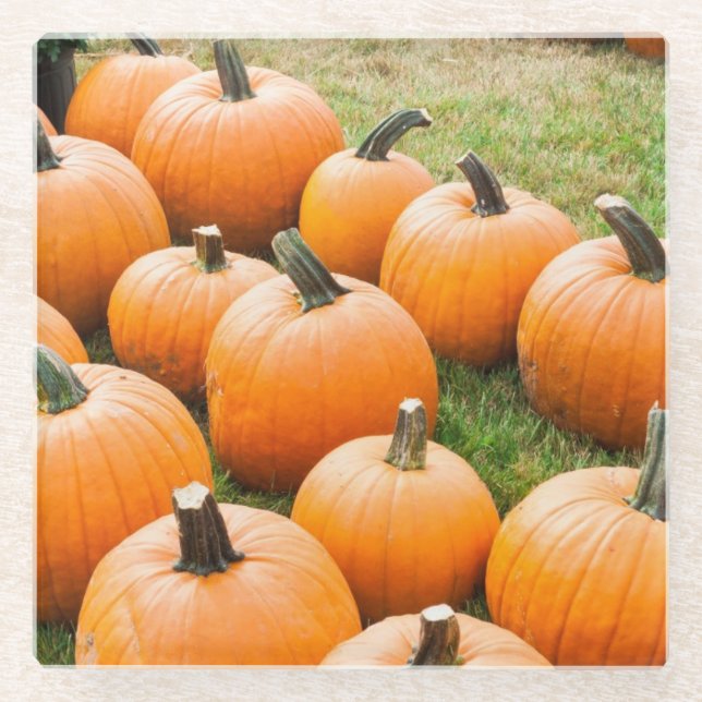 Kürbise für Verkauf am Markt eines Bauern Glasuntersetzer (Vorderseite)