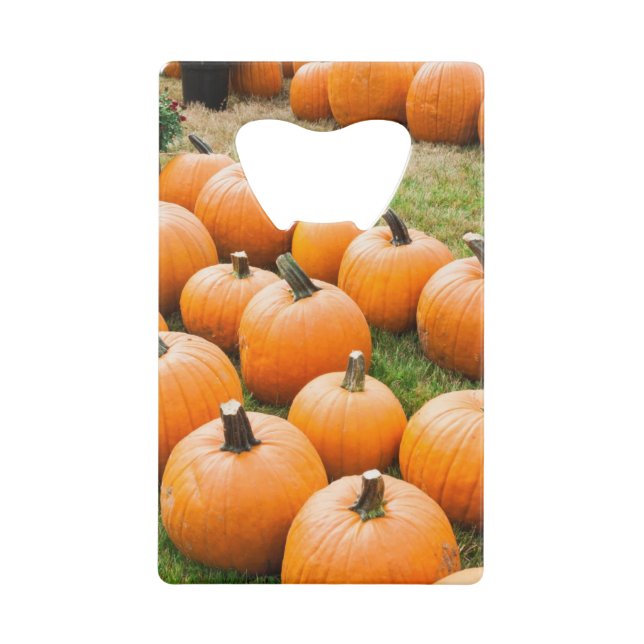 Kürbise für Verkauf am Markt eines Bauern Kreditkartenflaschenöffner (Vorderseite)