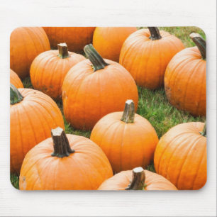 Kürbise für Verkauf am Markt eines Bauern Mousepad