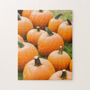 Kürbise für Verkauf am Markt eines Bauern Puzzle