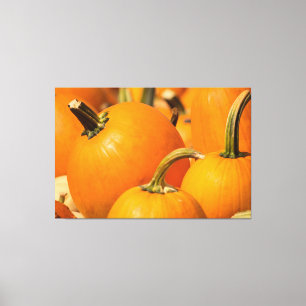 KÜRBISERNTE 60 X 40 UMWICKELTE LEINWAND