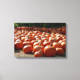 Kürbisfeld Herbst Ernte Fotografie Leinwanddruck