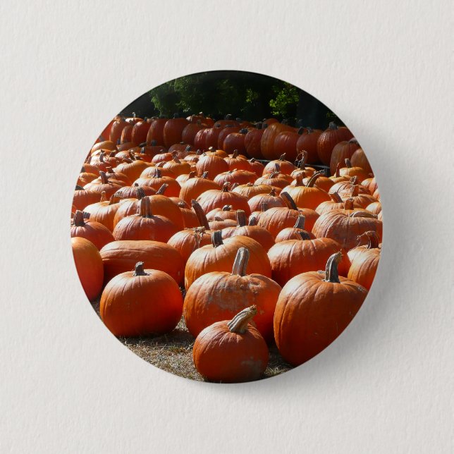 Kürbisfeld Herbsternte Fotografie Button (Vorderseite)