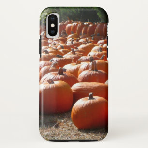 Kürbisfeld Herbsternte Fotografie Case-Mate iPhone Hülle