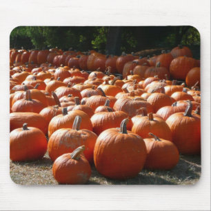 Kürbisfeld Herbsternte Fotografie Mousepad