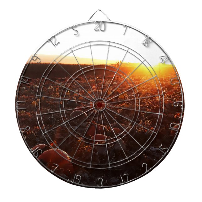 Kürbisfeld Sonnenuntergang B Dartscheibe (vorne)