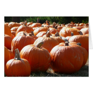 Kürbisfoto für Herbst, Halloween oder Erntedankfes