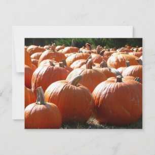 Kürbisfoto für Herbst, Halloween oder Erntedankfes
