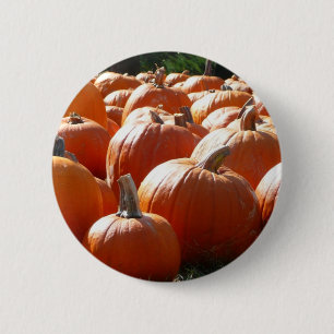 Kürbisfoto für Herbst, Halloween oder Erntedankfes Button