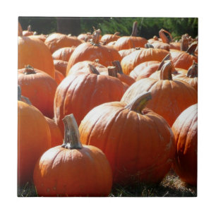 Kürbisfoto für Herbst, Halloween oder Erntedankfes Fliese