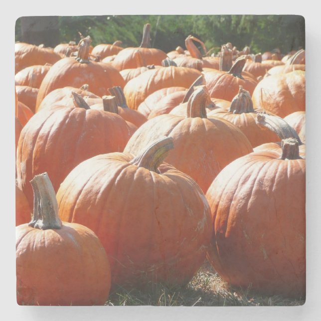 Kürbisfoto für Herbst, Halloween oder Erntedankfes Steinuntersetzer (Vorderseite)