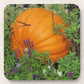 Kürbisgarten-Untersetzer Getränkeuntersetzer