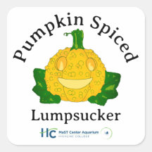Kürbisgewürzter Lumpfisch