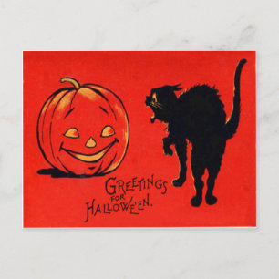 Kürbisjacke Laterne Schwarze Katze Postkarte