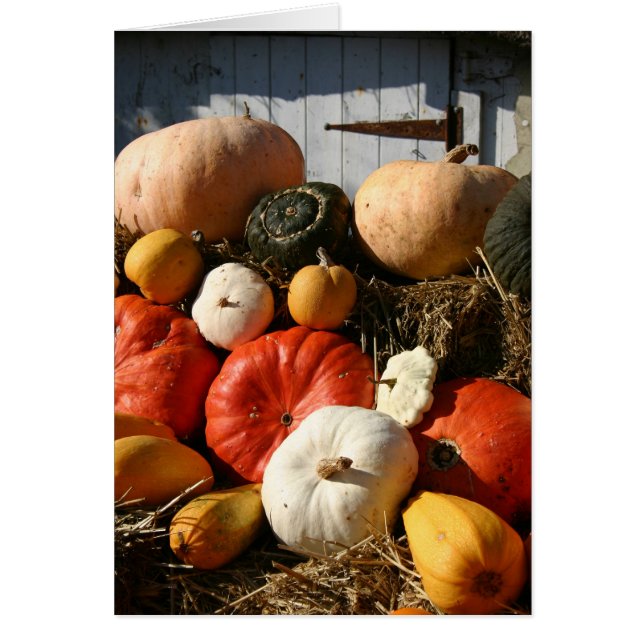 Kürbiskarte (Vorne)