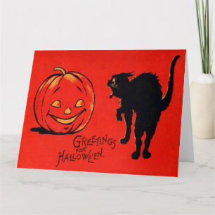 Kürbislaterne Pumpkin Black Cat Karte
