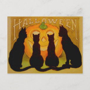 Kürbislaterne Pumpkin Black Cat Postkarte