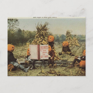 Kürbisparadies Postkarte