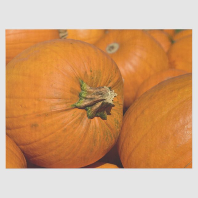 Kürbispflasterpapier Seidenpapier (Vorderseite)