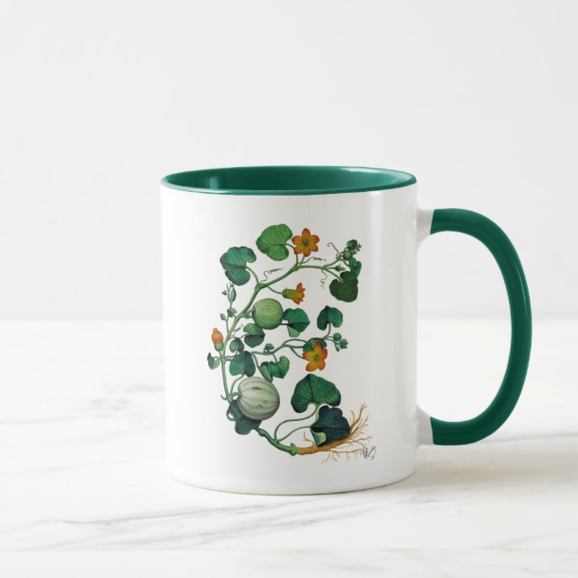 Kürbisrebe 2 tasse (Rechts)