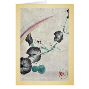 Kürbisrebe mit Blüte und Regenbogen