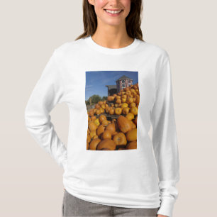 Kürbisse auf dem Bauernhof im Herbst in der Nähe v T-Shirt