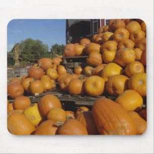 Kürbisse auf dem Bauernhof im Herbst nahe Concord, Mousepad